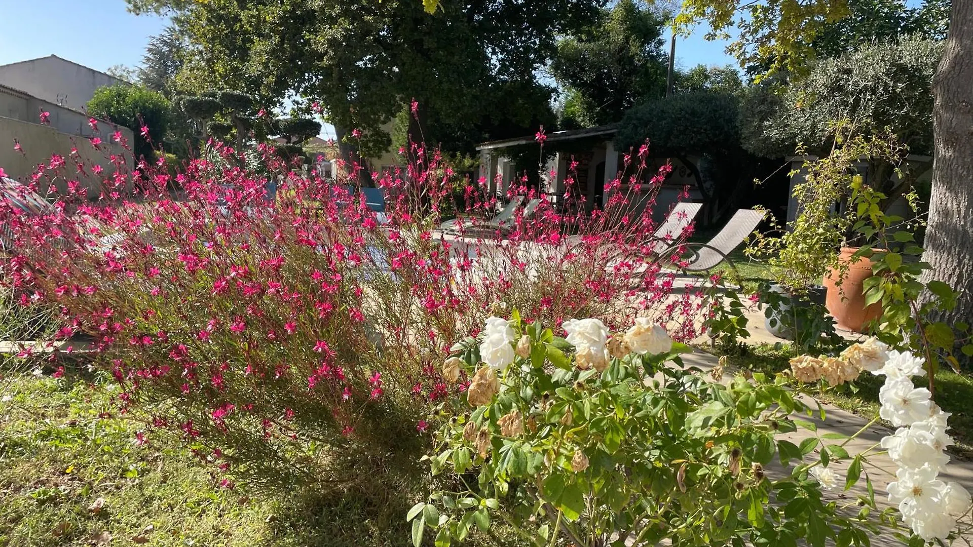 فيلة Vacances Revees Au Pin Parasol ليه ثور