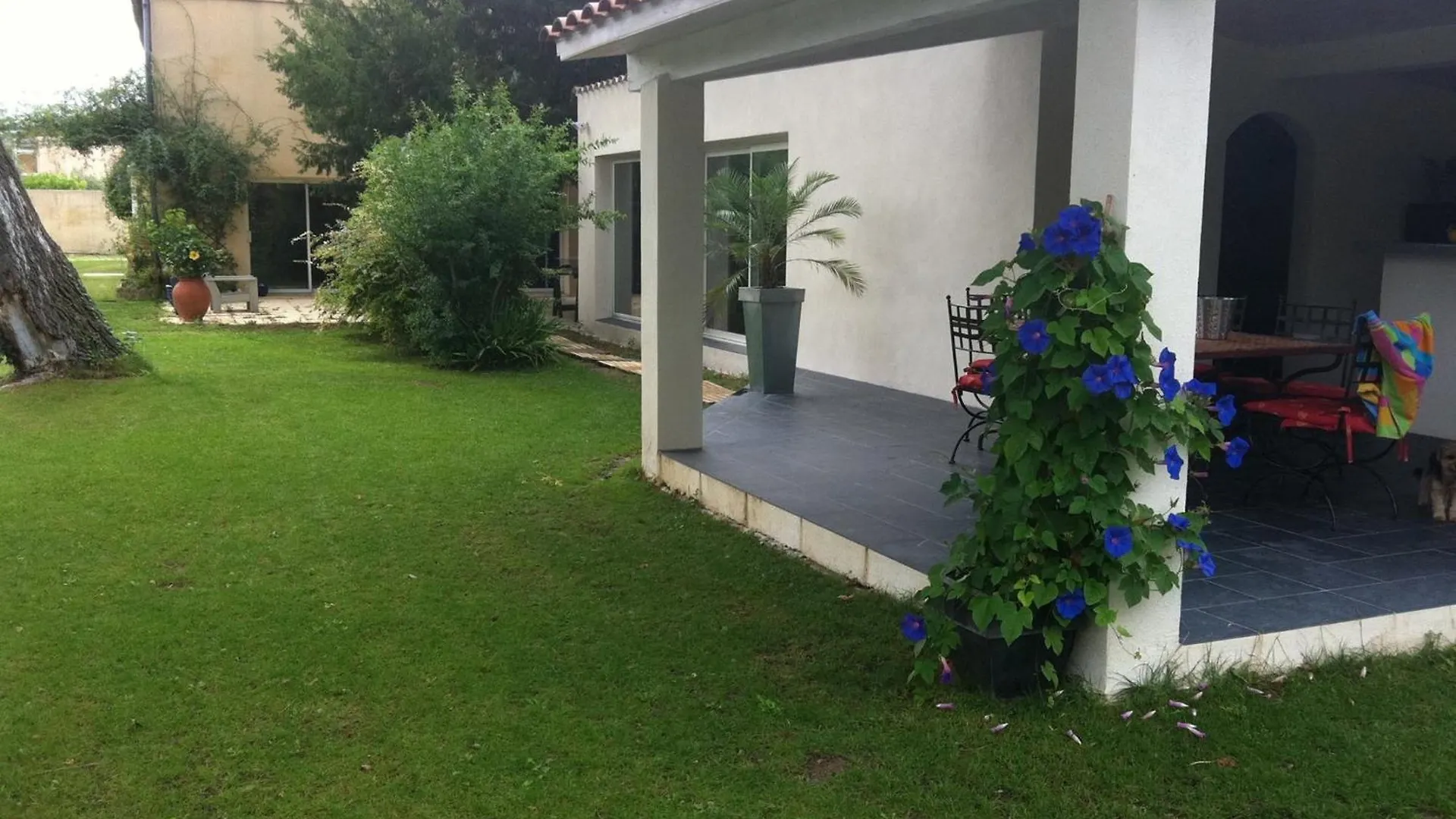 Vacances Revees Au Pin Parasol ليه ثور فرنسا